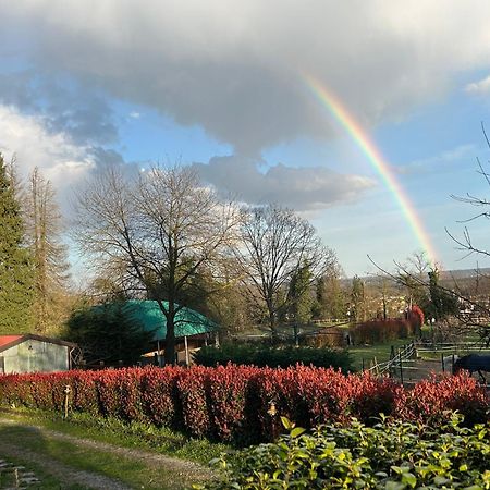 Bilocale In The Farm- Malpensa-Lago Maggiore Varallo Pombia ภายนอก รูปภาพ