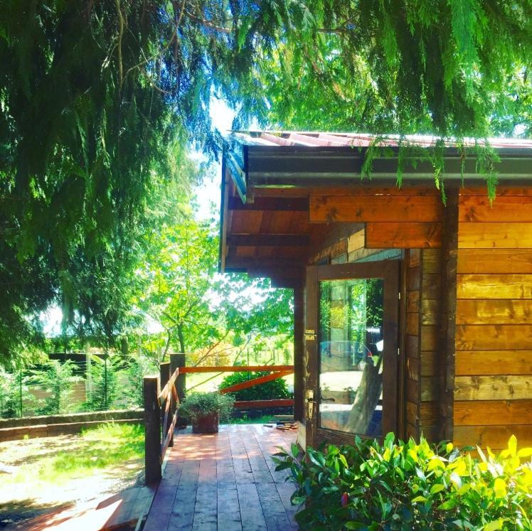 Bilocale In The Farm- Malpensa-Lago Maggiore Varallo Pombia ภายนอก รูปภาพ