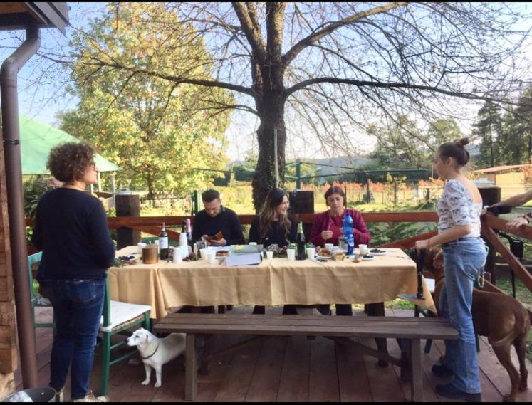Bilocale In The Farm- Malpensa-Lago Maggiore Varallo Pombia ภายนอก รูปภาพ